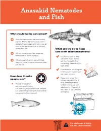 Anasakid Nematodes and Fish