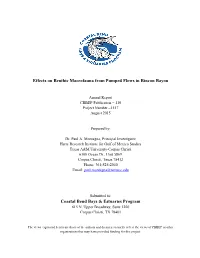 Effects on Benthic Macrofauna from Pumped Flows in Rincon Bayou