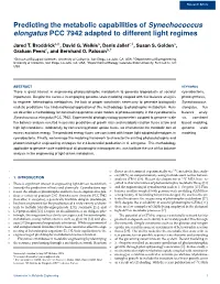 Predicting the Metabolic Capabilities of Synechococcus Elongatus PCC 7942 Adapted to Different Light Regimes