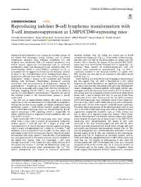 Reproducing Indolent B-Cell Lymphoma Transformation with T-Cell Immunosuppression in LMP1/CD40-Expressing Mice