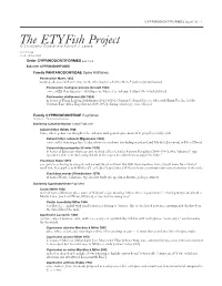 The Etyfish Project © Christopher Scharpf and Kenneth J