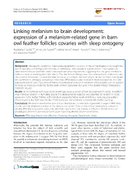 Linking Melanism to Brain Development: Expression of a Melanism-Related Gene in Barn Owl Feather Follicles Covaries with Sleep O