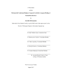 A Dissertation Entitled Mechanically-Conditioned Biphasic