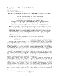Is the Use of Yellow Sticky Trap Detrimental to Natural Enemy Complex of Tea Pests?