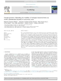 (Echinometra Lucunter) in Ecotoxicity Tests