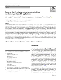 Focus on Dedifferentiated Adipocytes: Characteristics, Mechanisms, and Possible Applications