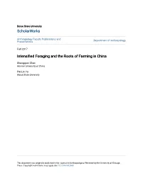 Intensified Foraging and the Roots of Farming in China