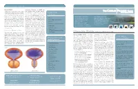 Overactive Bladder.Pdf