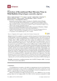 Detection of Recombinant Hare Myxoma Virus in Wild Rabbits (Oryctolagus Cuniculus Algirus)