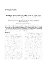Loggerhead Turtle Caretta Caretta Nesting Activity in Chebba (Centre Tunisia): Assessment, Problems and Recommendations
