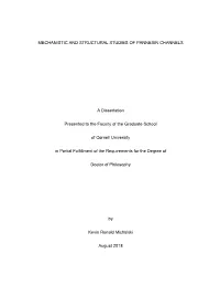 Mechanistic and Structural Studies of Pannexin Channels
