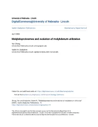 Molybdoproteomes and Evolution of Molybdenum Utilization