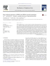 Flow-Induced Activation of TRPV5 and TRPV6 Channels Stimulates Ca2+-Activated K+ Channel Causing Membrane Hyperpolarization