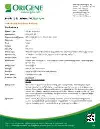 GNB2 Rabbit Polyclonal Antibody – TA590202 | Origene