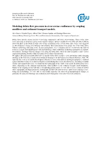 Modeling Debris Flow Processes in River-Ravine Confluences By
