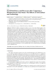 Soil Disturbance and Recovery After Coppicing a Mediterranean Oak Stand: the Eﬀects of Silviculture and Technology