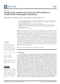 Decline of the Commercially Attractive White Morph in Goliath Beetle Polymorphic Populations