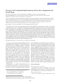 Divergent Nod-Containing Bradyrhizobium Sp. DOA9 with a Megaplasmid and Its Host Range