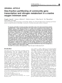 Size-Fraction Partitioning of Community Gene Transcription and Nitrogen Metabolism in a Marine Oxygen Minimum Zone