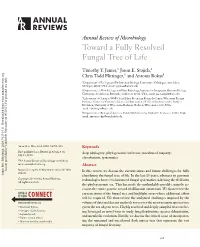 Toward a Fully Resolved Fungal Tree of Life