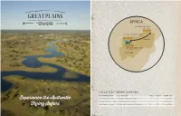 Experience the Authentic Flying Safari