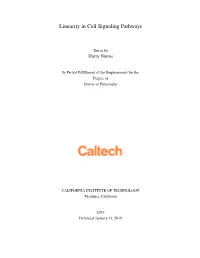 Linearity in Cell Signaling Pathways