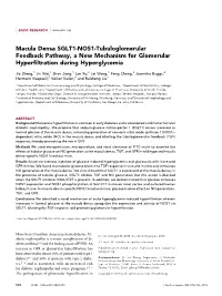 Macula Densa SGLT1-NOS1-Tubuloglomerular Feedback Pathway, a New Mechanism for Glomerular Hyperﬁltration During Hyperglycemia
