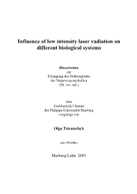Cumulative Report About Obtained Results at the Dissertation