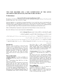 Two New Records and a New Combination of the Genus Aeluropus Trin (Poaceae) for the Flora of Iran