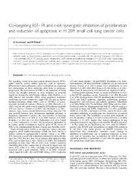 Co-Targeting IGF-1R and C-Kit: Synergistic Inhibition of Proliferation and Induction of Apoptosis in H 209 Small Cell Lung Cancer Cells