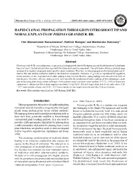 Rapidclonalpropagation Through in Vitro Shoot Tip and Nodal Explants Of