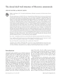 The Dorsal Shell Wall Structure of Mesozoic Ammonoids