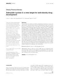 Adenylate Cyclase 3: a New Target for Anti‐Obesity Drug Development
