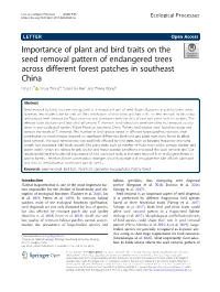 Importance of Plant and Bird Traits on the Seed Removal Pattern Of