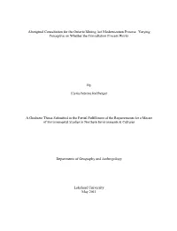 Aboriginal Consultation for the Ontario Mining Act Modernization Process: Varying Perspectives on Whether the Consultation Process Works