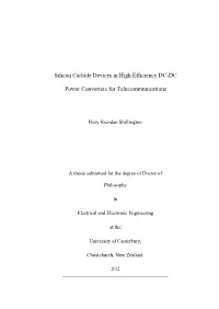 Silicon Carbide Devices in High Efficiency DC-DC Power