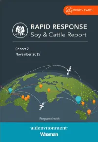 Soy and Cattle: Report 7