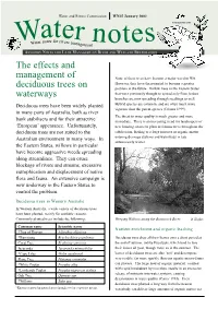 The Effects and Management of Deciduous Trees on Waterways