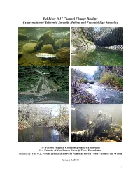 Eel River 2017 Channel Change Duality: Rejuvenation of Salmonid Juvenile Habitat and Potential Egg Mortality