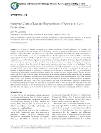 Energetic Costs of Loss and Regeneration of Arms in Stellate Echinoderms John M