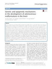 Genetic and Epigenetic Mechanisms in the Development