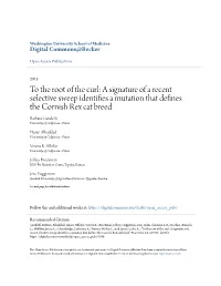 A Signature of a Recent Selective Sweep Identifies a Mutation That Defines the Cornish Rex Cat Breed." Plos One.8,6