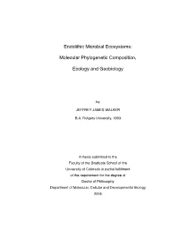 Endolithic Microbial Ecosystems