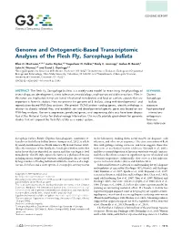 Genome and Ontogenetic-Based Transcriptomic Analyses of the Flesh Fly, Sarcophaga Bullata