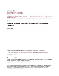Potential Wolverine Habitat Vs. Winter Recreation. Conflict in Colorado!