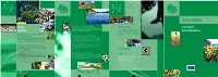 The Emerald Network