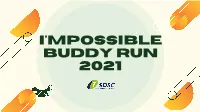 A Guide to the Buddy Run