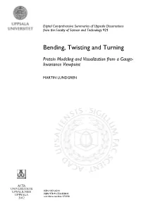 Bending, Twisting and Turning: Protein Modeling and Visualization