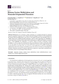 Histone Lysine Methylation and Neurodevelopmental Disorders