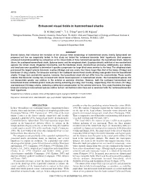 Enhanced Visual Fields in Hammerhead Sharks